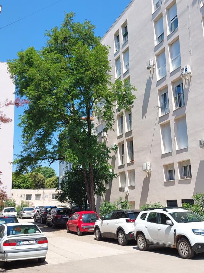 Marinero Apartment Zadar Zewnętrze zdjęcie